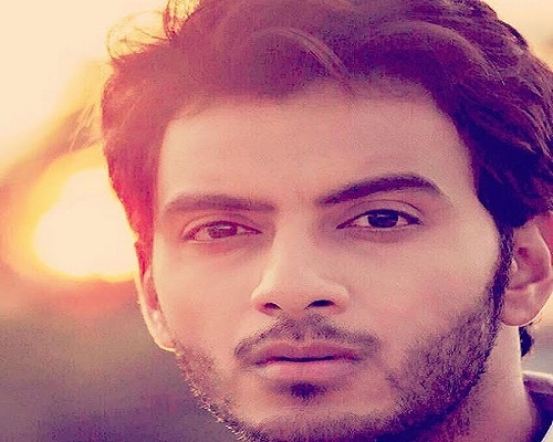 Vikram Singh Chauhan Wiki, Biography, Age, Height, Family, Movie, Girlfriend, Tv Show, Wedding, Wife, Carrier & More﻿
